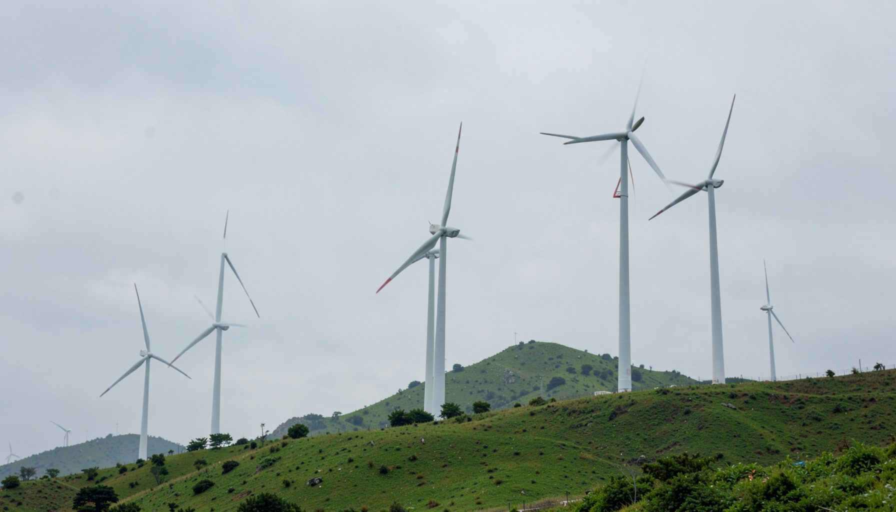 Wind turbines standing tall on a green hillside under a pale grey overcast sky, suggesting renewable energy generation